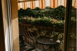 Grüne Oase: Die besten Pflanzenideen für Ihren Balkon